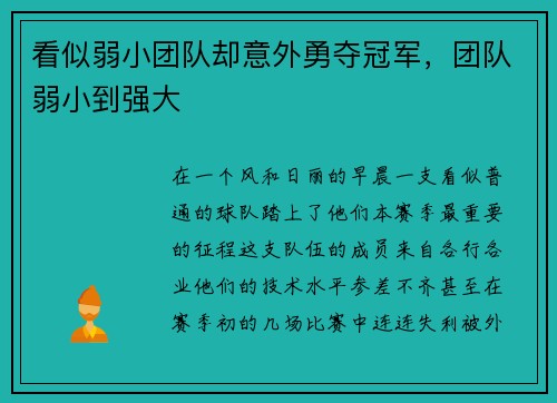 看似弱小团队却意外勇夺冠军，团队弱小到强大