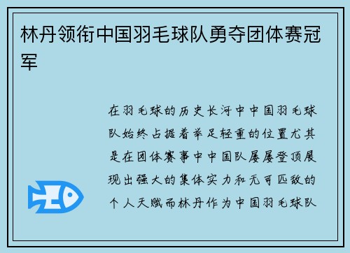 林丹领衔中国羽毛球队勇夺团体赛冠军